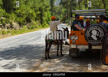 ALANYA, TURQUIE - 27 juin 2014 : habitant du village de divertir les touristes à cheval sur un âne Banque D'Images