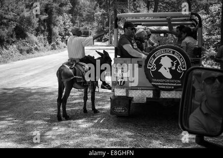 ALANYA, TURQUIE - 27 juin 2014 : habitant du village de divertir les touristes à cheval sur un âne. Le noir et blanc Banque D'Images