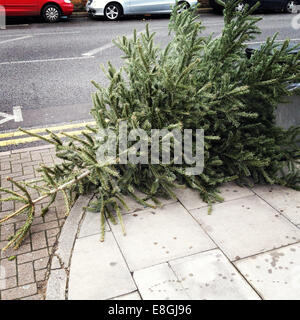 Arbre de Noël jeté dans la rue, Londres, Angleterre, Royaume-Uni Banque D'Images