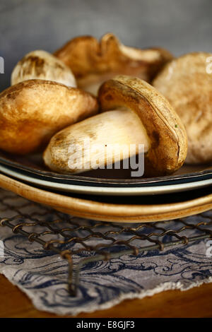 Champignons crus sur une plaque Banque D'Images