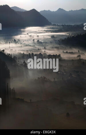 L'INDONÉSIE, Bali, Kintamani Valley dans le brouillard du matin Banque D'Images