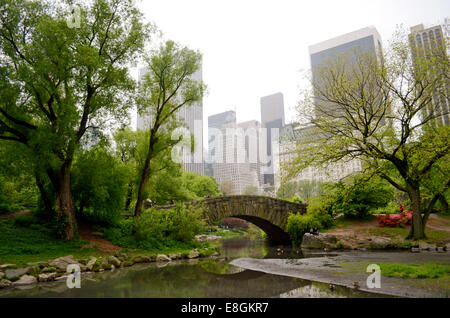 USA, New York, Manhattan, étang dans Central Park Banque D'Images