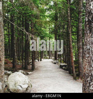 Chemin à travers la forêt, Canada Banque D'Images