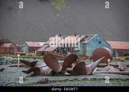 Des vieux navires énormes hélices situées entre les maisons de l'ancienne Stromness station baleinière, abandonné en 1965, le roi Édouard Bay, Banque D'Images