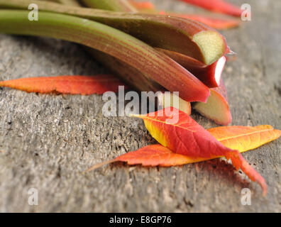 La rhubarbe avec feuilles rouges sur une vieille planche de bois Banque D'Images