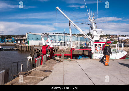 Le poisson quay harbour port à Teignmouth dans le Devon avec deux bateliers passant par un chalutier. Banque D'Images