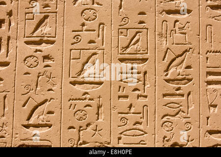 Egypte, Louxor, Temple de Karnak, hiéroglyphes gravé dans la pierre de bord Banque D'Images