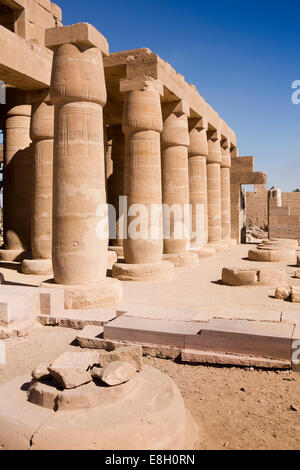 Egypte, Louxor, Ramesseum, temple funéraire de Ramsès II, les colonnes de la salle Hypostile Banque D'Images