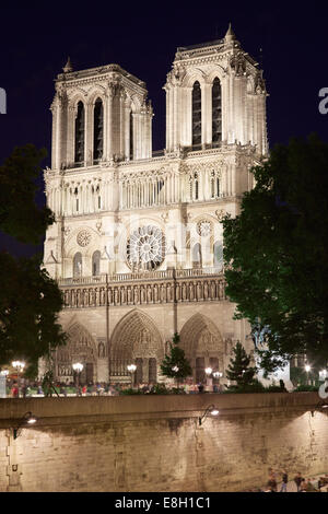 La Cathédrale notre dame la nuit avec des gens Banque D'Images