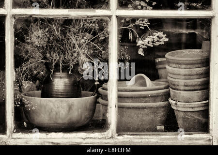 Fleurs séchées et pots en terre cuite dans un atelier de rempotage fenêtre. Sépia Banque D'Images