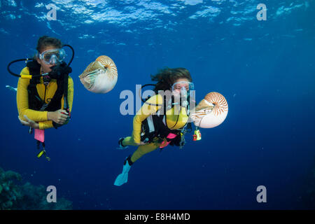 Océanie, Palaos, les plongeurs en regardant les Palaos, nautilusses belauensis dans Nautilus, Océan Pacifique Banque D'Images