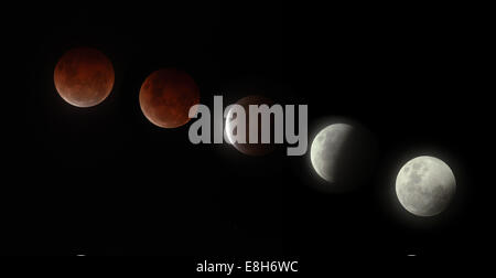 Nelson, Nouvelle-Zélande. 8 octobre, 2014. Photographie composite montrant la transition de la pleine lune à lune en éclipse ou 'Blood Moon', comme vu de Nelson, île du Sud, Nouvelle-Zélande Crédit : Tim Brassard/Alamy Live News Banque D'Images