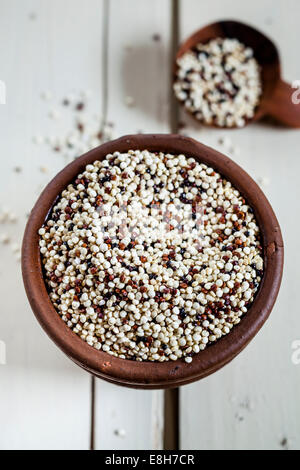 En faïence et cuillère en bois de quinoa biologique, Chenopodium quinoa, sur bois blanc Banque D'Images