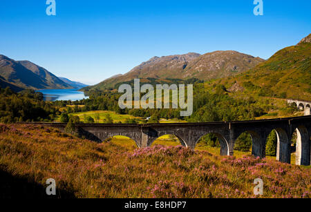 Viaduc de Glenfinnan, Lochaber, Ecosse, Royaume-Uni Banque D'Images