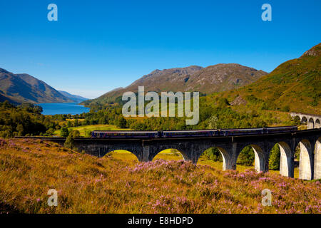 Train Diesel, viaduc de Glenfinnan, Lochaber, Ecosse, Royaume-Uni Banque D'Images