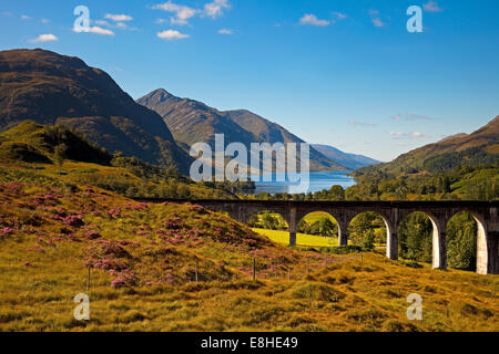 Viaduc de Glenfinnan, Lochaber, Ecosse, Royaume-Uni Banque D'Images