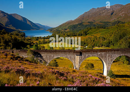 Viaduc de Glenfinnan, Lochaber, Ecosse, Royaume-Uni Banque D'Images