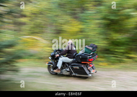 Man Riding moto Harley Davidson de Spearfish Canyon, Black Hills National Forest, SD, USA Banque D'Images