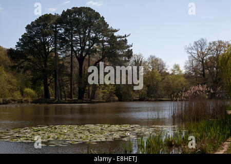 Commune de Southampton hampshire angleterre Banque D'Images