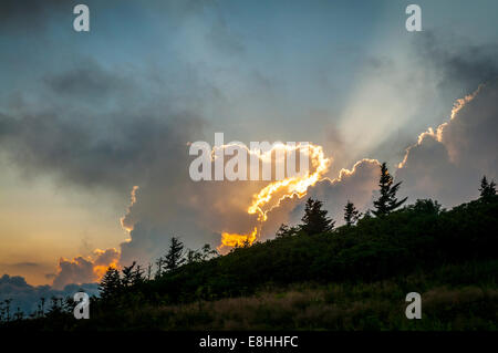 Coucher de soleil depuis le sommet de Roan Mt. à Pisgah National Forest, NC, USA. Cette chauve ouvert est le plus long dans l'Appalachian Mts. Banque D'Images