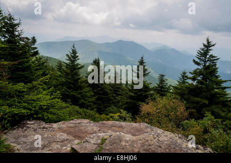 Une vue de le long du sentier à Grassy Ridge sur Roan Mountain à Pisgah Forest National en Caroline du Nord,USA,dans les Appalaches Banque D'Images