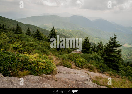 Une vue de le long du sentier à Grassy Ridge sur Roan Mountain à Pisgah Forest National en Caroline du Nord,USA,dans les Appalaches Banque D'Images