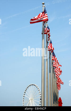 Une rangée de drapeaux, avec une grande roue à l'arrière-plan, à National Harbor sur le front du Potomac dans le Maryland, près de Washington DC. Banque D'Images