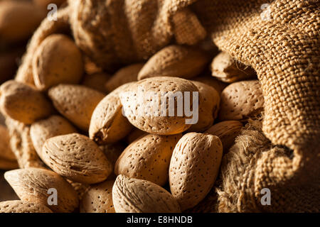 Matières organiques de l'Unshelled Amandes sur un arrière-plan Banque D'Images