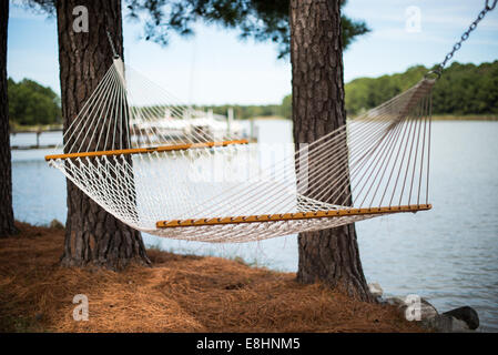 Un hamac suspendus entre les arbres sur la ligne de flottaison du Maryland Eastern Shore. Banque D'Images