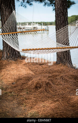 Un hamac suspendus entre les arbres sur la ligne de flottaison du Maryland Eastern Shore. Banque D'Images