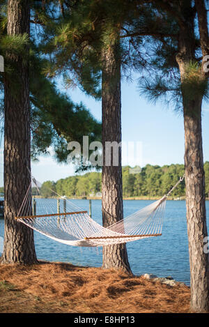 Un hamac suspendus entre les arbres sur la ligne de flottaison du Maryland Eastern Shore. Banque D'Images