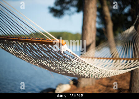 Un hamac suspendus entre les arbres sur la ligne de flottaison du Maryland Eastern Shore. Banque D'Images