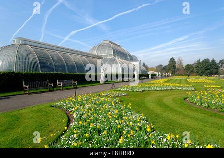 Palm House au Royal Botanic Gardens Kew London Banque D'Images