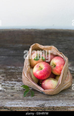 Les pommes, rouge, vert, fruits, automne, banc rustique, fond blanc, à l'extérieur, en sac en papier brun, Juteuse, fraîche, saine alimentation, Banque D'Images