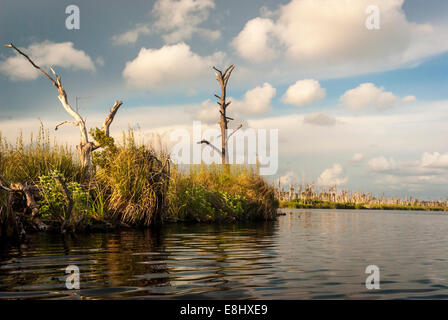 Une vue panoramique à partir d'un kayak dans le lac Middle dans Gulf State Park, Gulf Shores, Alabama, USA,directement à côté de la plage du golfe Banque D'Images