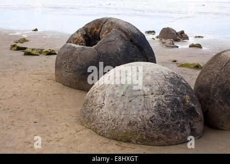 Moeraki Boulders - formations rocheuses naturelles - concrétions. La côte d'Otago, Nouvelle-Zélande. Banque D'Images