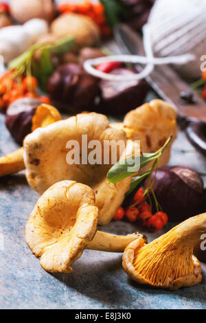 Chanterelles, noix et baies avec vintage ciseaux et fil sur fond de bois. Banque D'Images