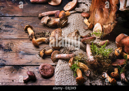 Mélange de champignons des bois plus vieille table en bois. Banque D'Images