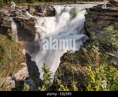 Les chutes Athabasca, Rocheuses canadiennes, la promenade des Glaciers, Jasper National Park, Alberta, Canada Banque D'Images