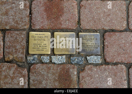 Stolpersteine ou blocs de tumbling, plaques commémoratives dans la chaussée de l'allée menant à la mémoire des déportés juifs, Ahrenshoop Banque D'Images