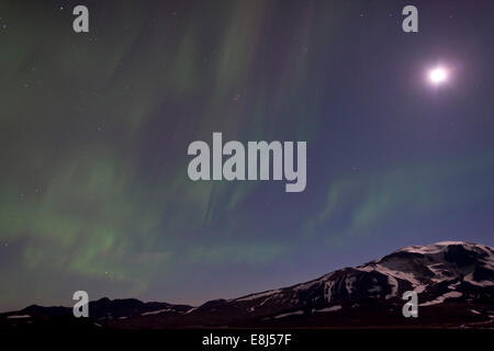 Northern Lights et Pleine Lune sur Mt Sneffels, hautes terres d'Islande, Région du Nord-Est, de l'Islande Banque D'Images