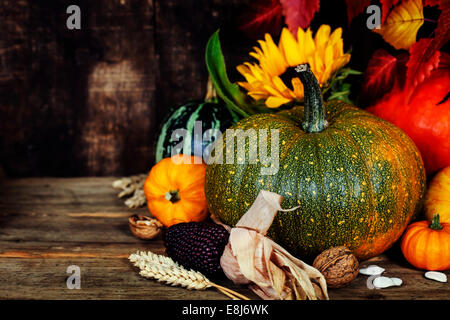 Composition d'automne ( citrouilles et de maïs sur la vieille table en bois). Jour de Thanksgiving concept Banque D'Images