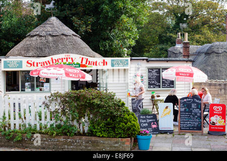 Chaume fraise, café à Ventnor sur l'île de Wight qui sert des thés à la crème, England, UK Banque D'Images