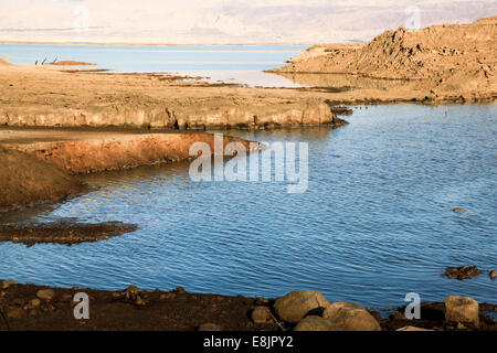 Piscines d'eau dans les trous de l'évier sur la rive de la Mer Morte, Israël Banque D'Images