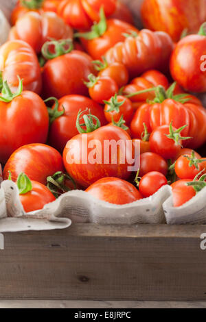 Homegrown Tomatoes in Trug en bois Banque D'Images