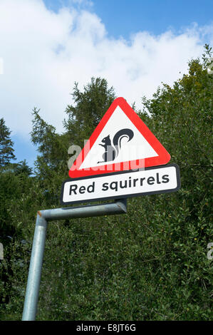 dh Roadsign ROAD Royaume-Uni Angleterre Rouge Squirrel avertissement Road sign cumbria Lake district écureuils Banque D'Images