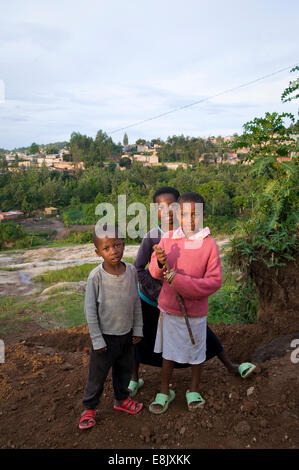 RWANDA, KIGALI : Il y a beaucoup de nature dans la capitale, le vert des collines et des plantes de toutes sortes. Banque D'Images