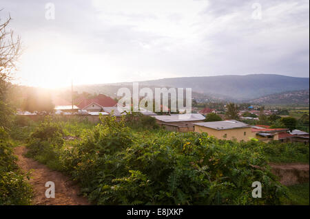 RWANDA, KIGALI : Il y a beaucoup de nature dans la capitale, le vert des collines et des plantes de toutes sortes. Banque D'Images