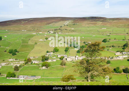 Vues de ligne de basse dans Swaledale Banque D'Images