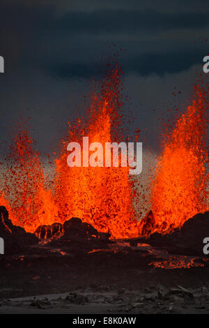 Fontaines de lave à l'Holuhraun éruption Volcan Bardarbunga fissure près, l'Islande. 29 août 2014, une éruption fissure commencer j Banque D'Images